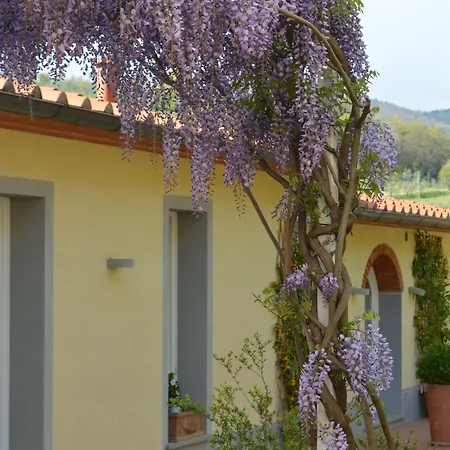 Podere Delle Fanciulle