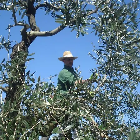 Podere Delle Fanciulle Pistoia