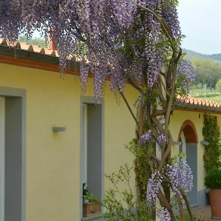 Podere Delle Fanciulle