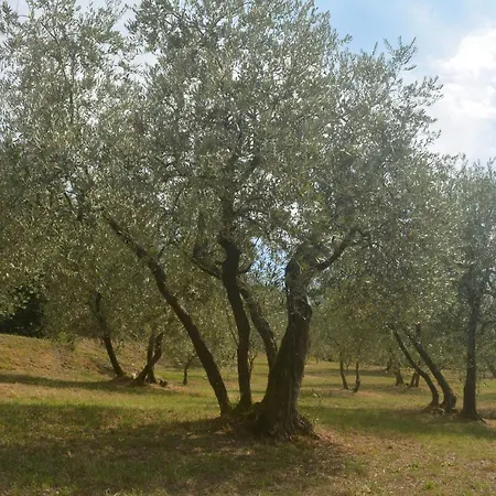 Podere Delle Fanciulle Bauernhof